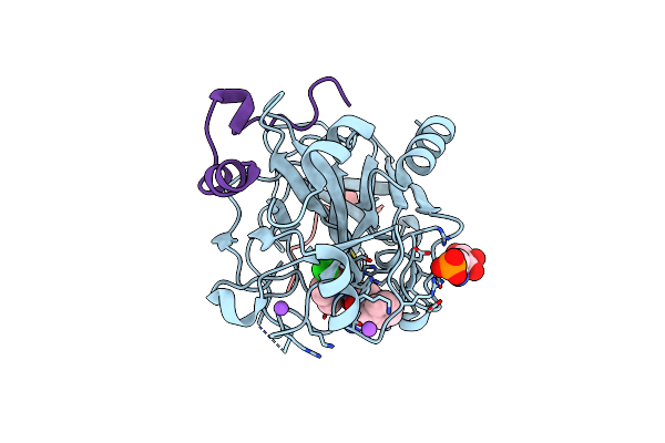3QX5 image