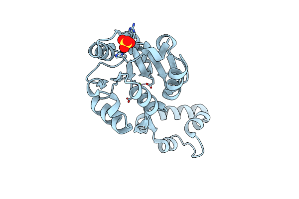 3R09 image