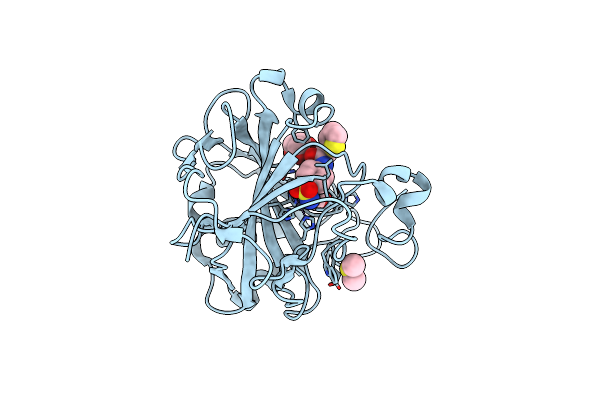 3R16 image