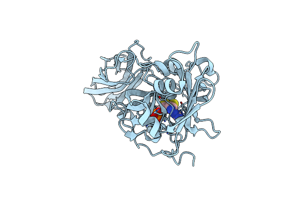 3R19 image