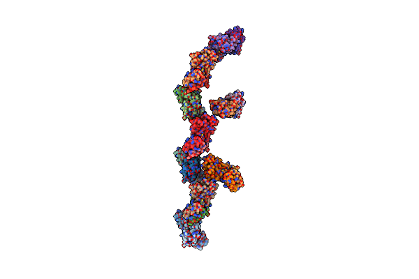 3R1F image