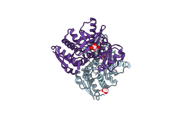 3R23 image
