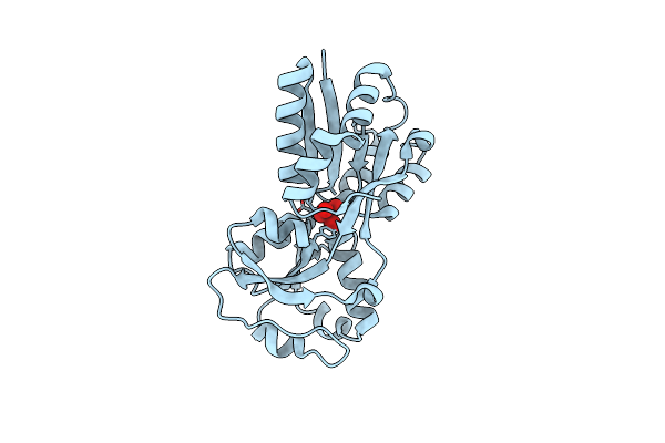 3R26 image