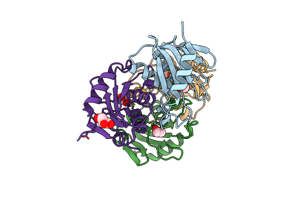 3R2N image