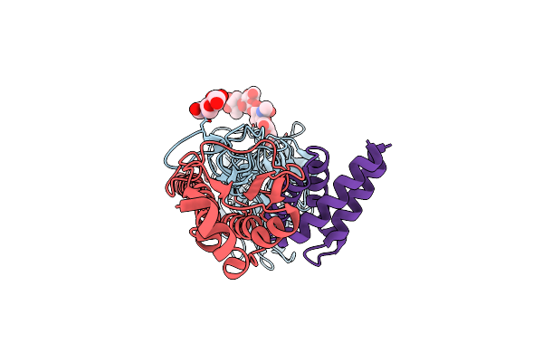 3R2X image