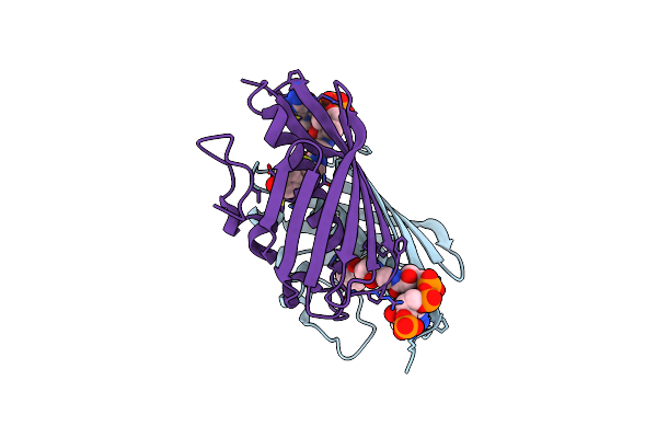 3R37 image