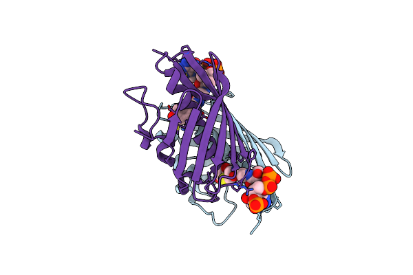 3R3A image