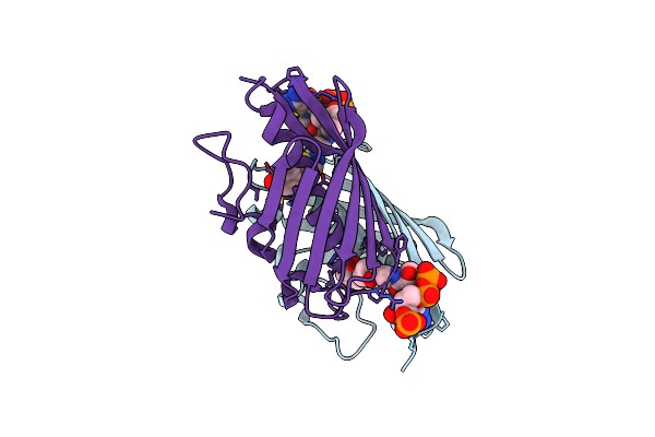 3R3D image