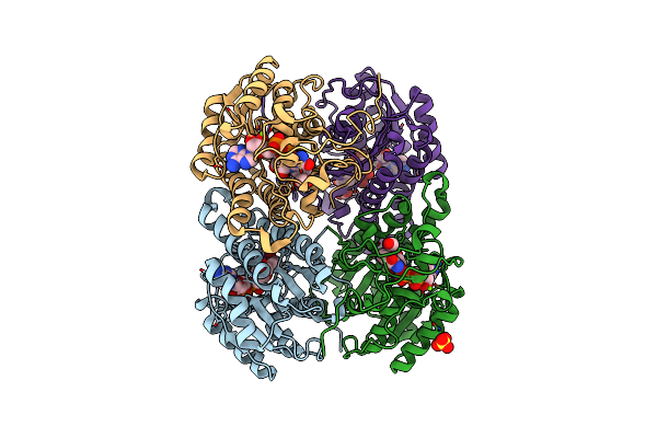 3R3S image