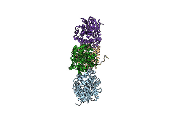 3R3U image