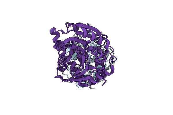 3R3V image