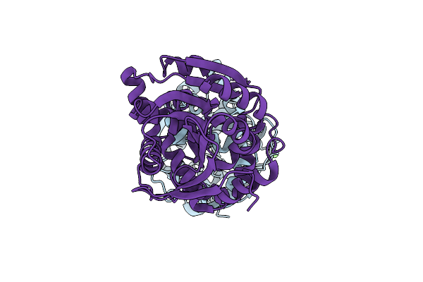 3R40 image