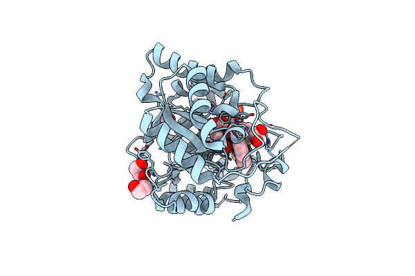 3R43 image