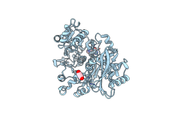 3R44 image