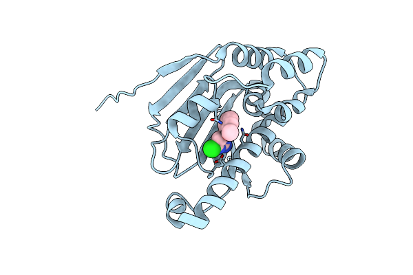 3R4M image