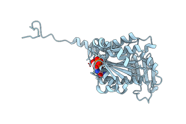 3R4V image
