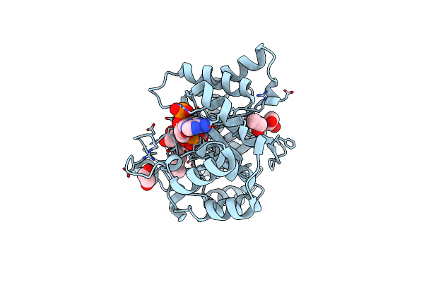 3R58 image
