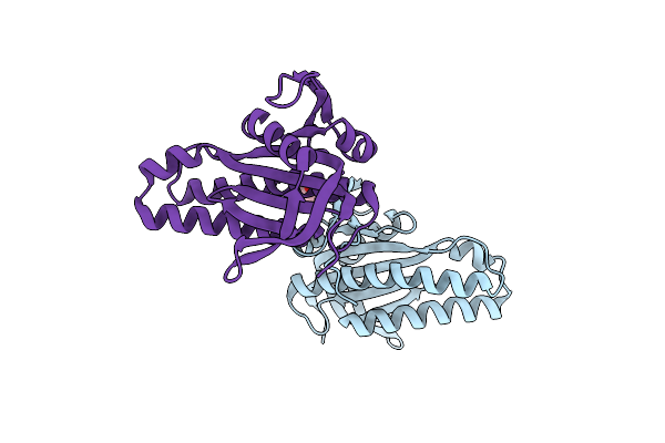 3R5G image