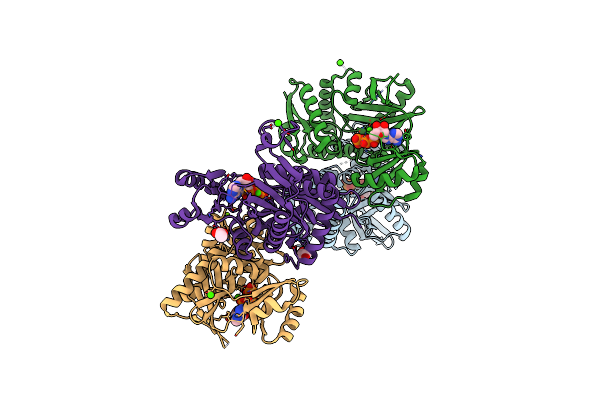 3R5X image