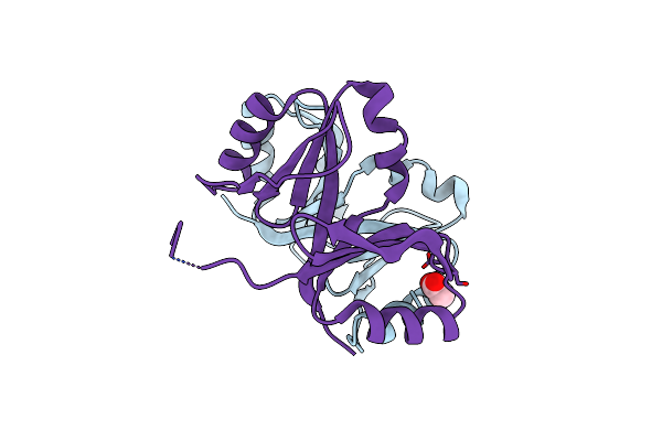 3R6A image