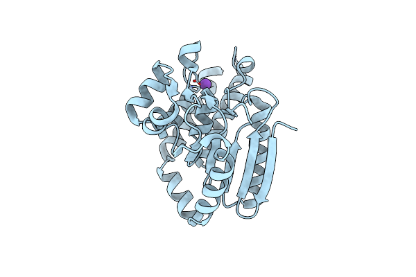 3R6H image