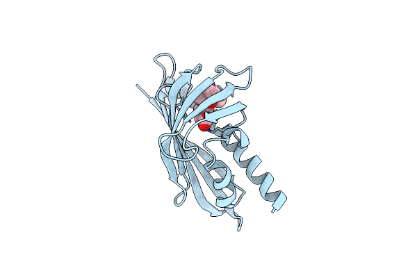 3R6P image