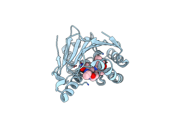 3R91 image