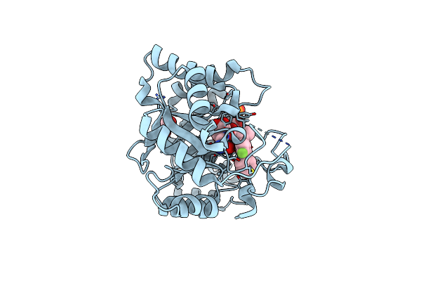 3R94 image