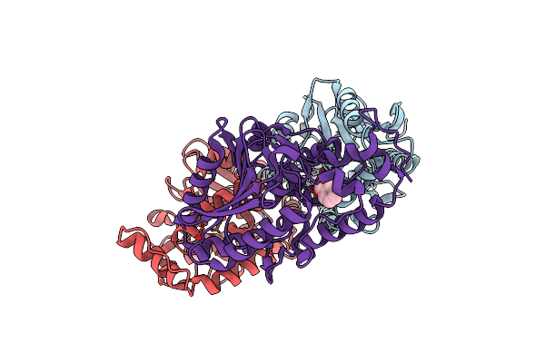 3R9T image