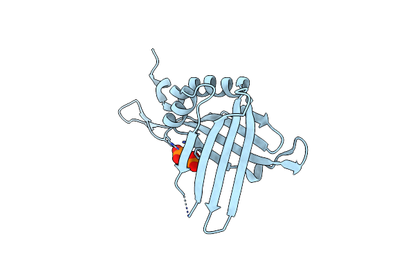 3R9Z image