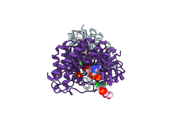 3RAS image