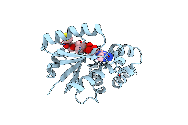 3RBA image