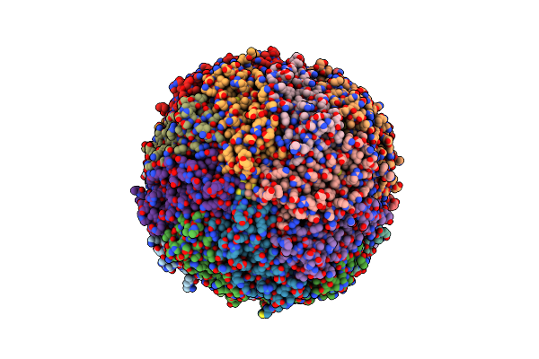 3RBC image