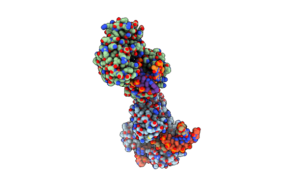 3RBD image