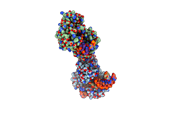 3RBE image