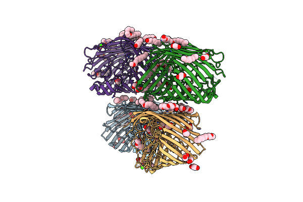 3RBH image