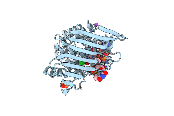 3RC1 image
