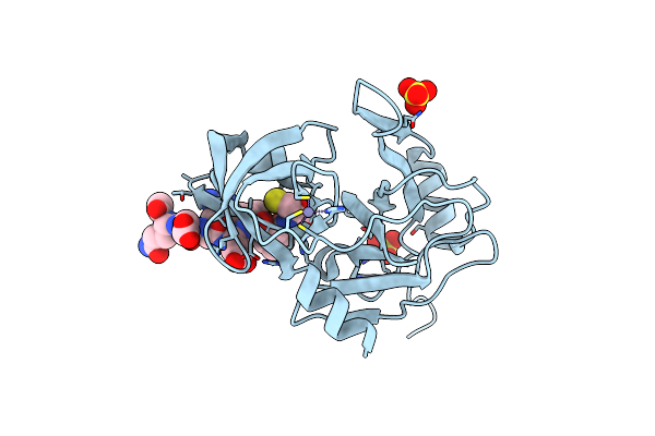 3RC5 image