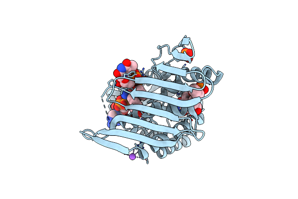 3RC9 image