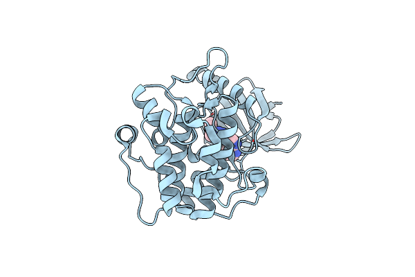 3RCJ image