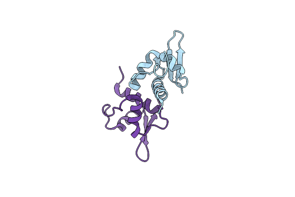 3RCO image