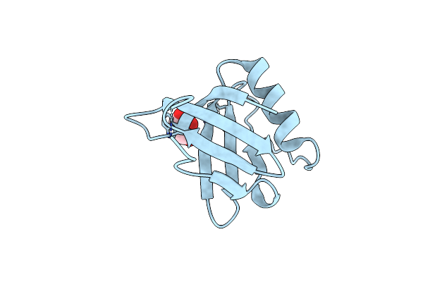 3RCP image