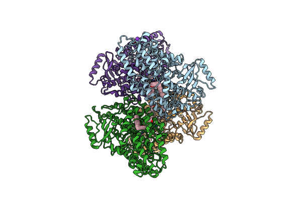 3RDE image