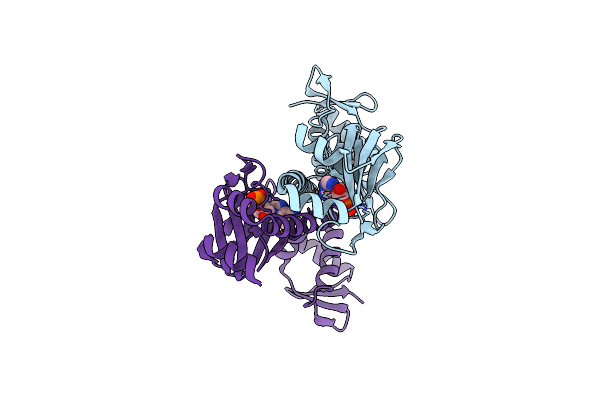 3RDI image
