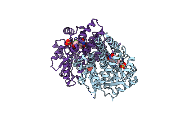 3RDP image