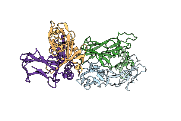 3RDT image