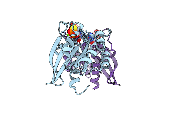 3REG image