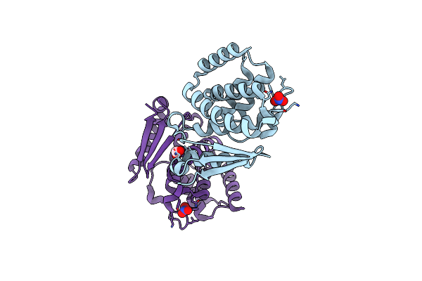 3RF0 image