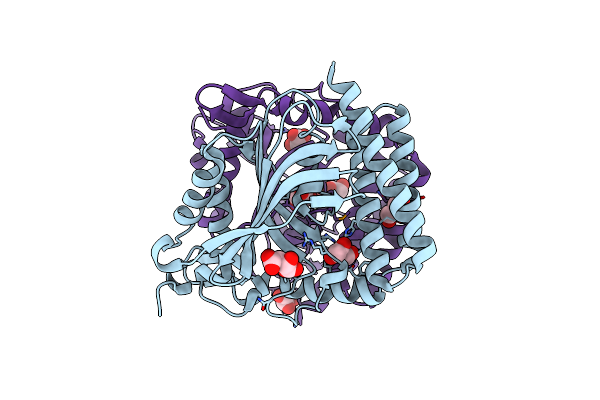 3RF1 image