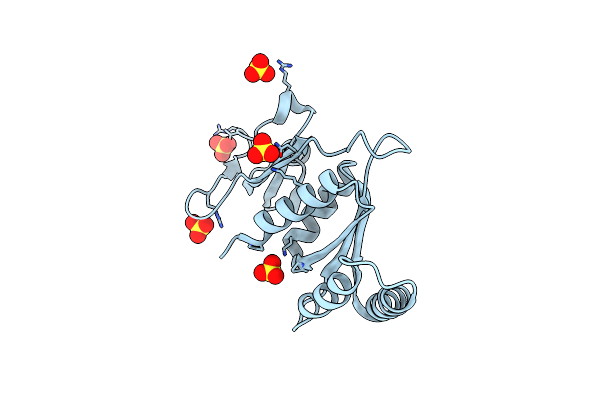 3RF2 image